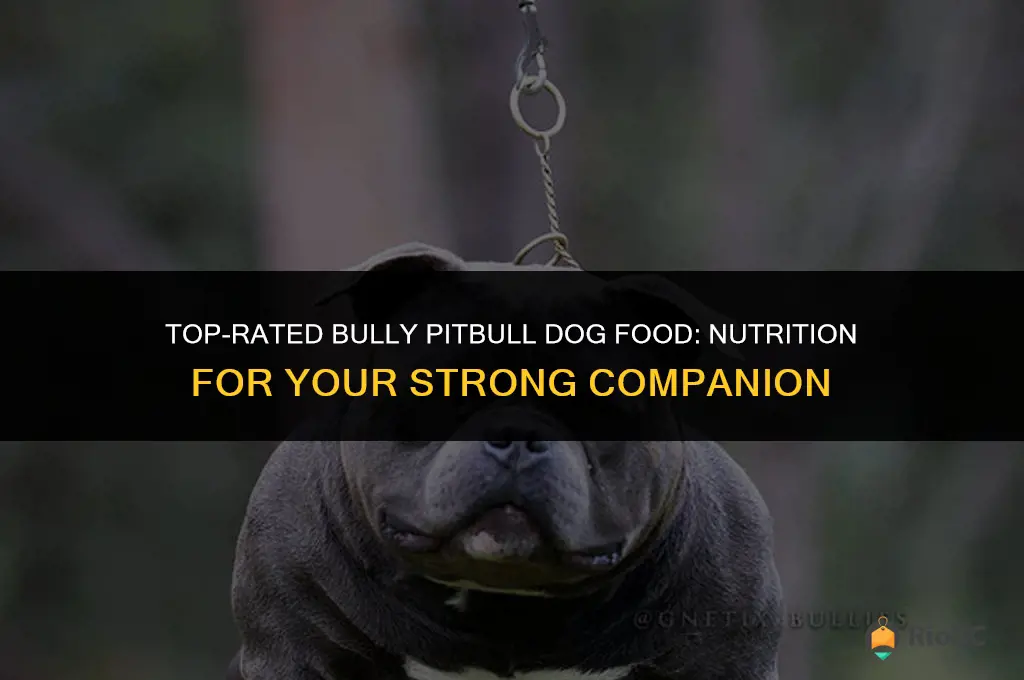 best bully pitbull dog food