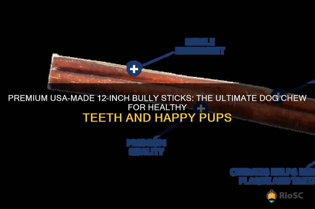 best bully sticks usa 12-inch bully sticks dog chews