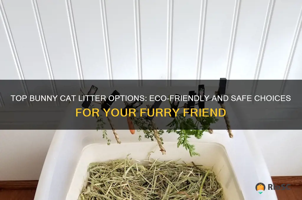Photo inspiration: Fresh Look at Top Bunny Cat Litter Options Eco Friendly And Safe Choices