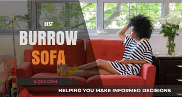 Ultimate Comfort: Discover the Best Burrow Sofa for Your Living Space