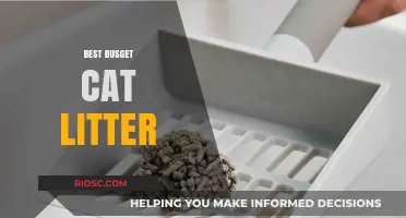Affordable Purr-fection: Top Budget-Friendly Cat Litter Options for Happy Cats and Wallets