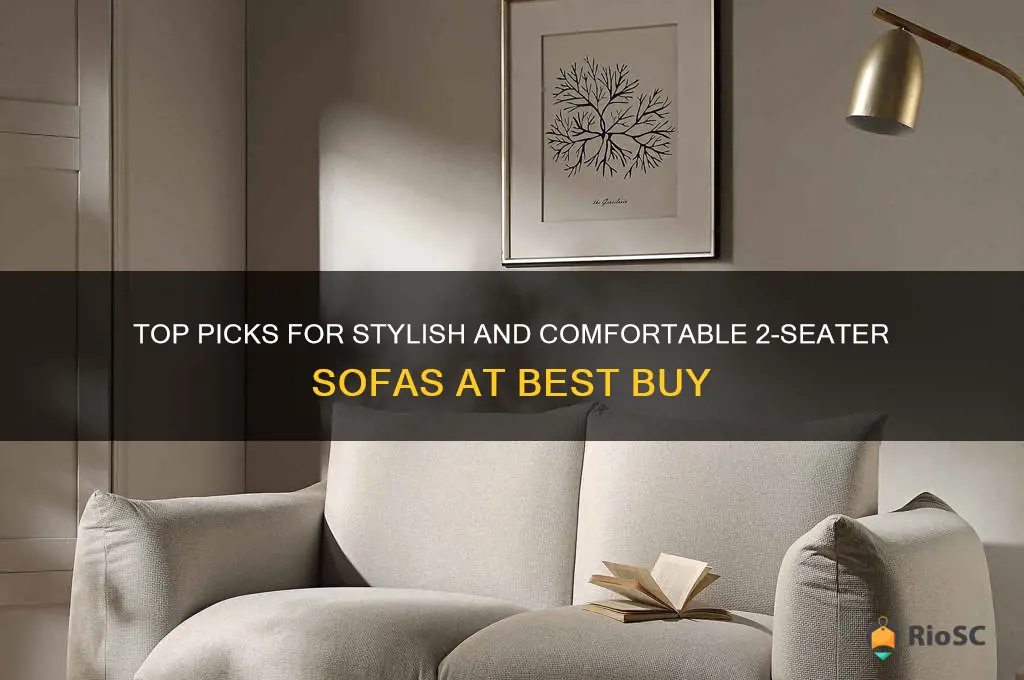 best buy 2 seater sofas