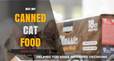 Purr-fect Picks: The Best Canned Cat Food for Your Feline Friend