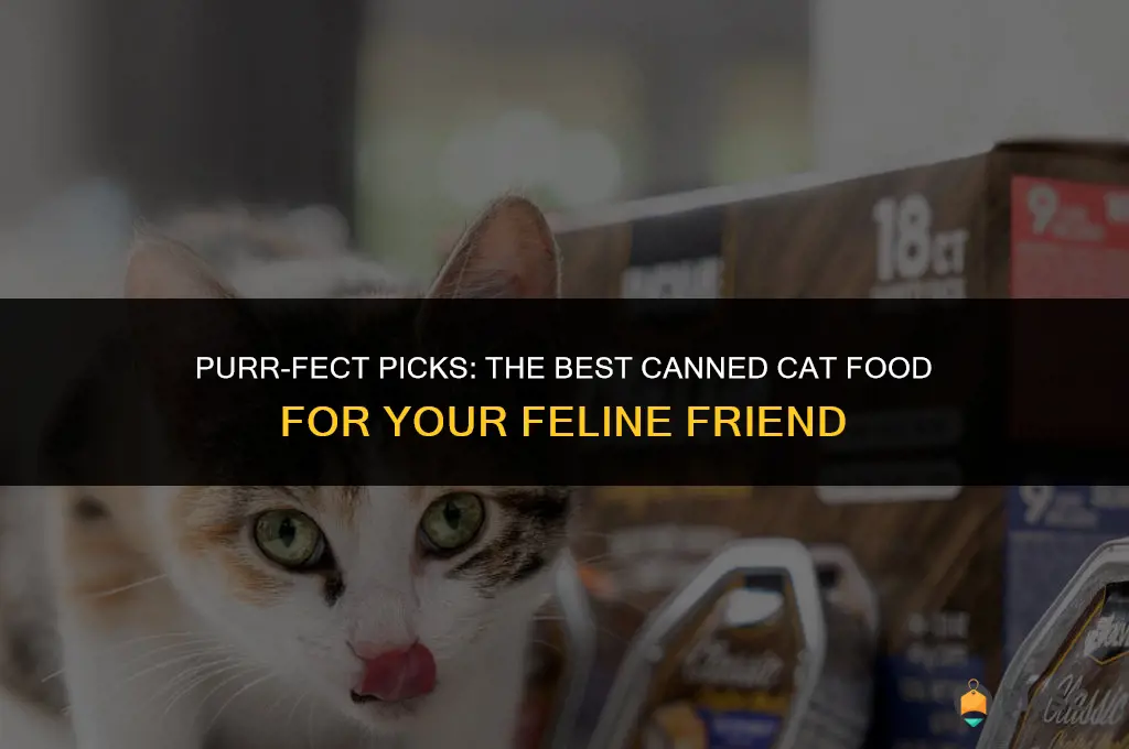 best buy canned cat food