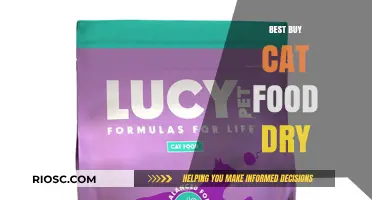 Purr-fect Picks: Top Dry Cat Food Options for Your Feline Friend