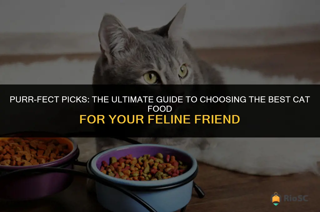 best buy cat food