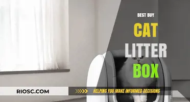 Top Picks for the Best Buy Cat Litter Box: Keep Your Feline Friend Happy and Your Home Clean