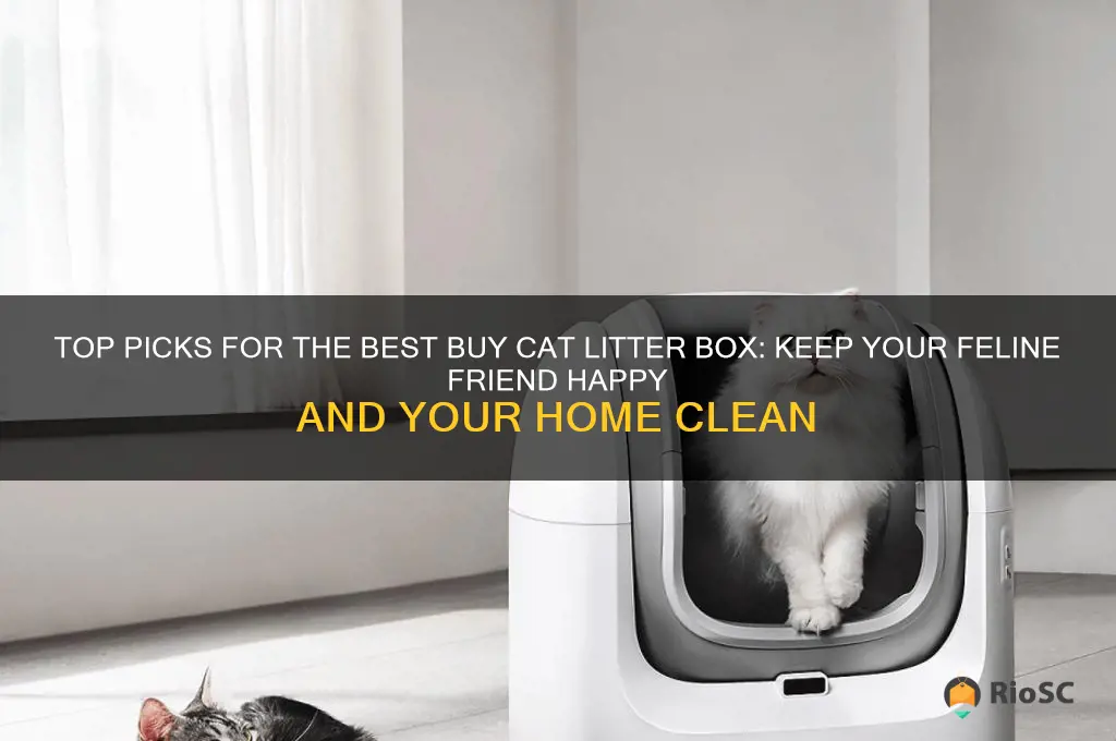 Top Picks For The Best Buy Cat Litter Box: Keep Your Feline Friend ...