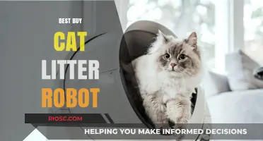 Revolutionize Your Cat Care: Why the Best Buy Cat Litter Robot is a Game-Changer