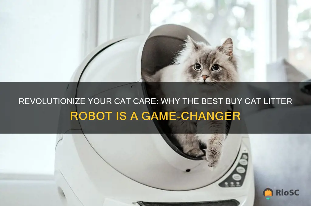 best buy cat litter robot