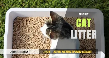 Top Picks for the Best Buy Cat Litter: Keep Your Feline Friend Happy and Your Home Fresh