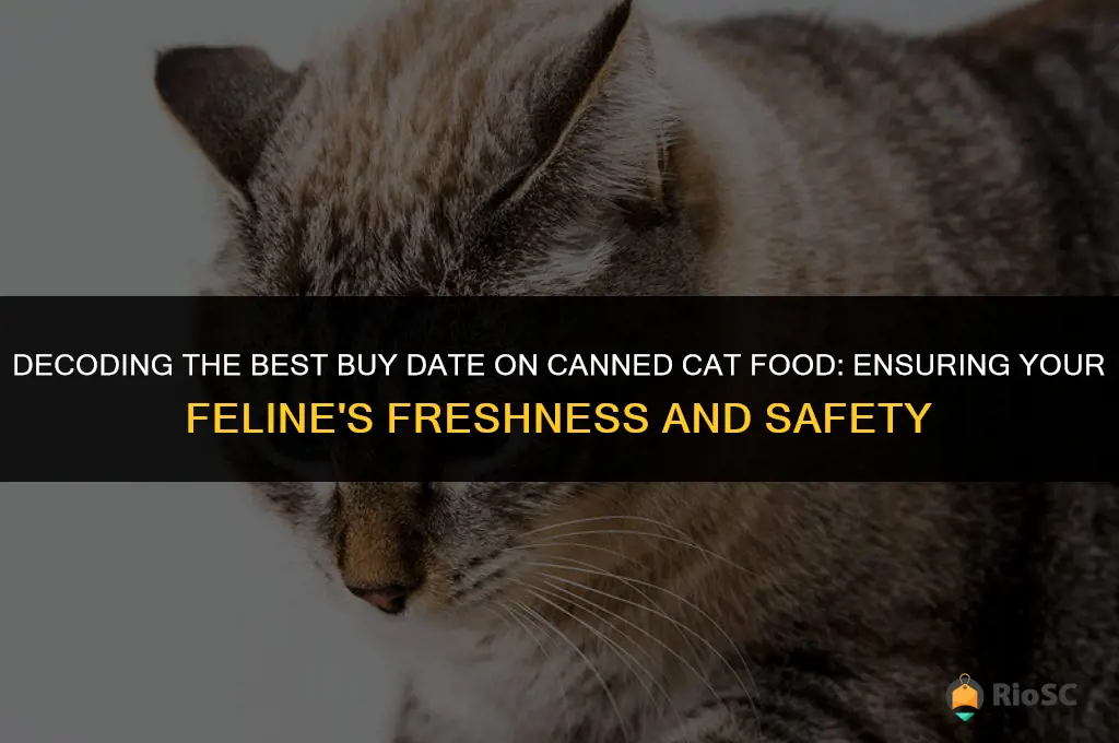 best buy date on canned cat food