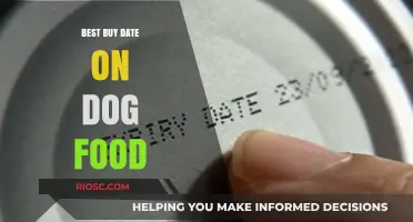 Decoding Dog Food Dates: How to Ensure Your Pet Gets the Freshest Meal