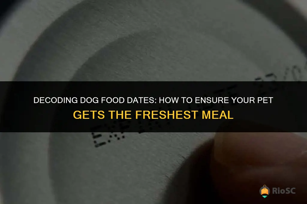 best buy date on dog food
