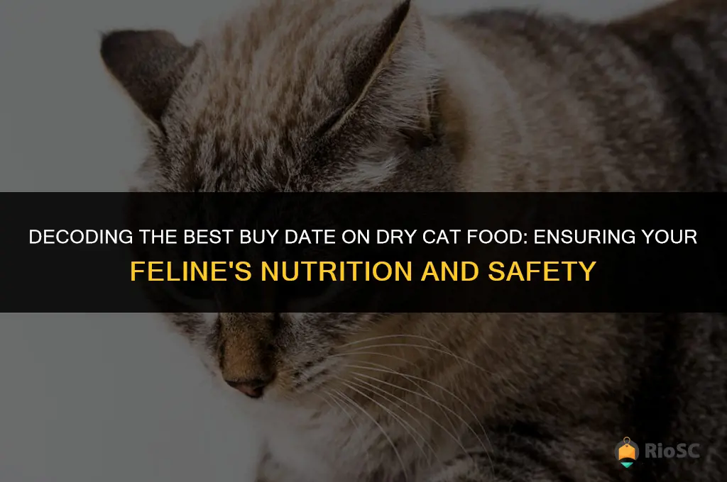 best buy date on dry cat food
