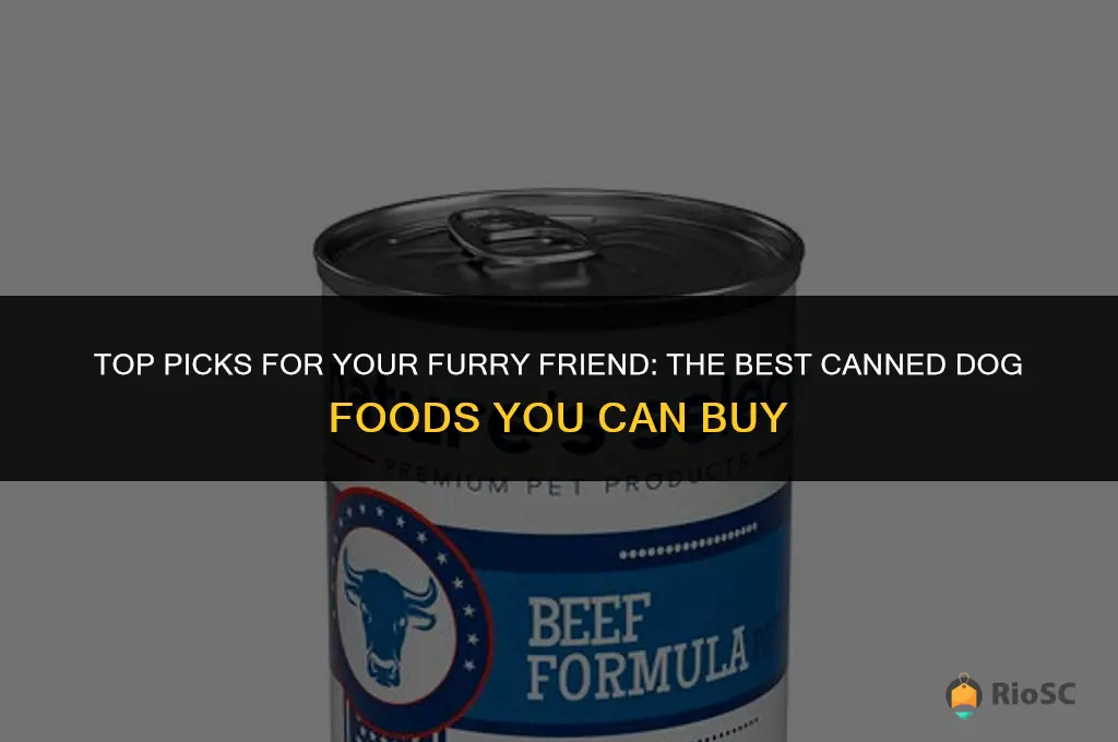 best buy dog canned food