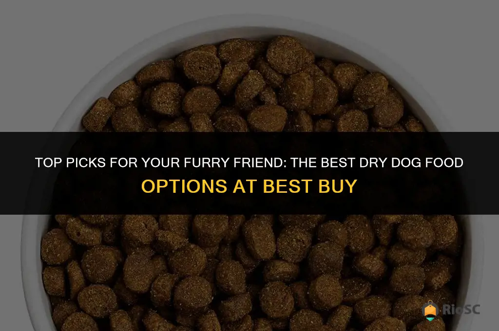 best buy dog food dry