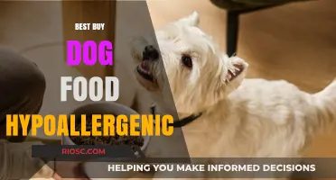 Top Hypoallergenic Dog Food Picks for Sensitive Stomachs: A Comprehensive Guide