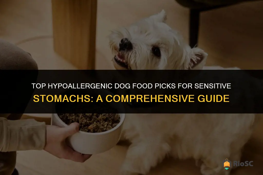 best buy dog food hypoallergenic