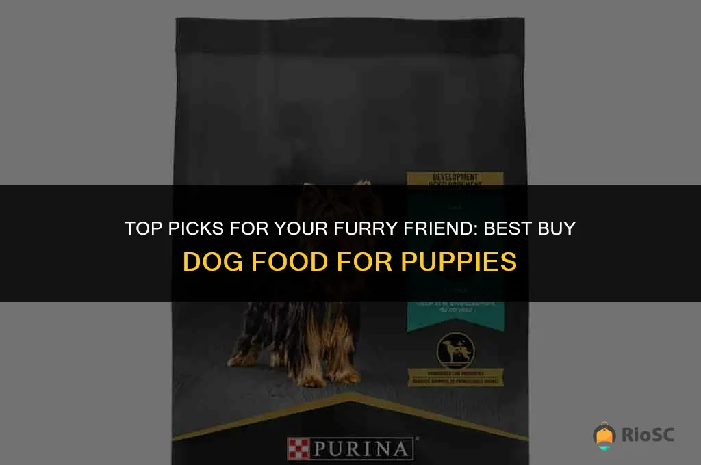 best buy dog food puppy