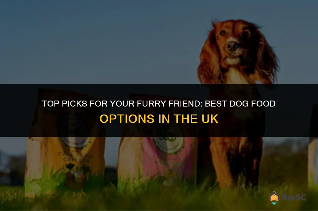 best buy dog food uk