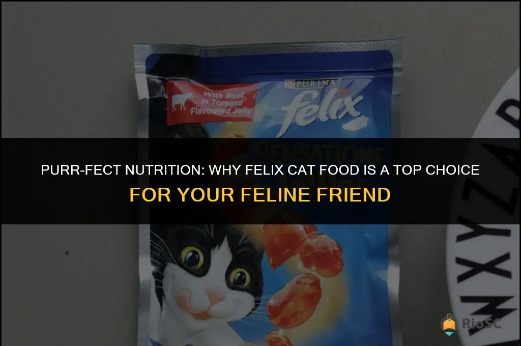 best buy felix cat food