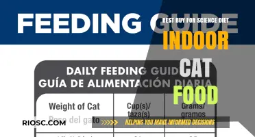 Top Choice for Indoor Cats: Science Diet Cat Food Review