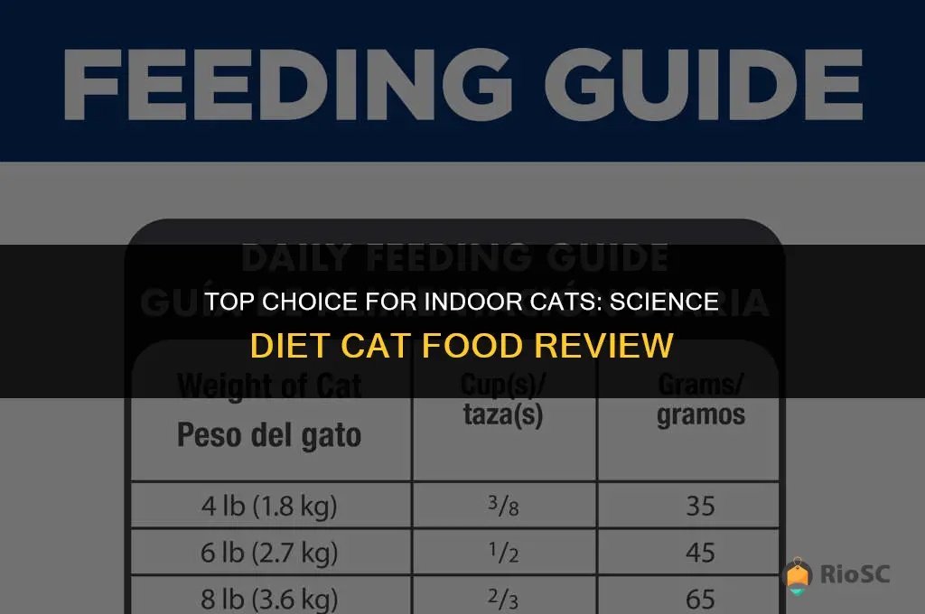 best buy for science diet indoor cat food