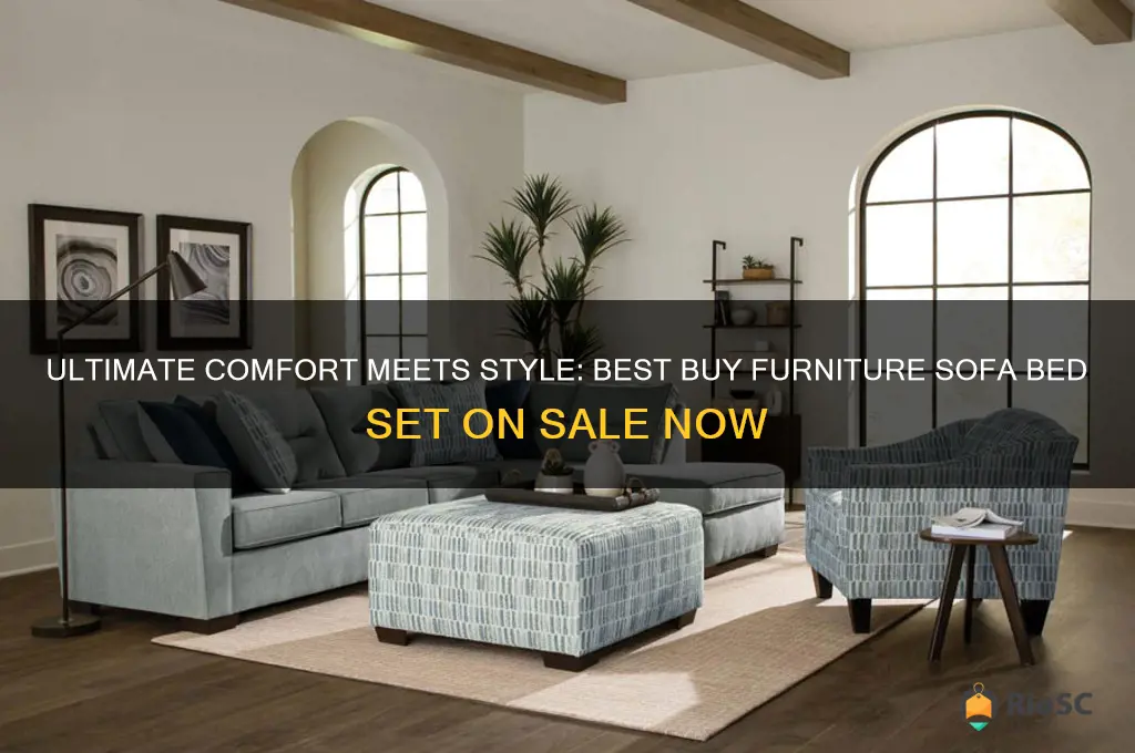 best buy furniture sofa bed set for sale