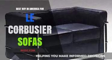 Where to Find the Best Le Corbusier Sofas in America: Top Retailers and Deals