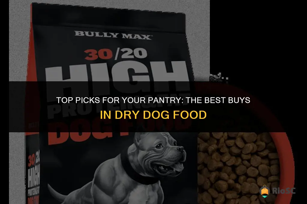best buy on dry dog food