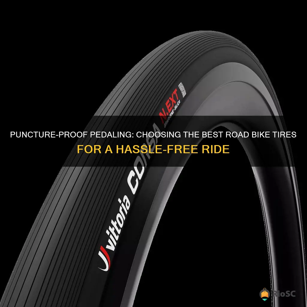 best buy on punctire resistant road bike tires