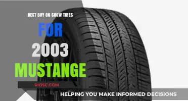 Top Picks for Snow Tires: Enhancing Winter Safety and Performance on Your 2003 Mustang
