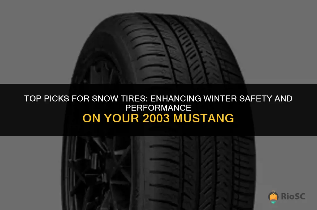 best buy on snow tires for 2003 mustange