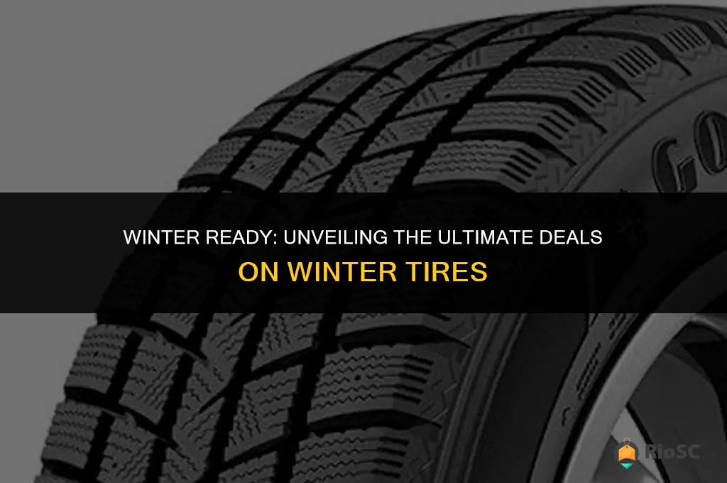 best buy on winter tires