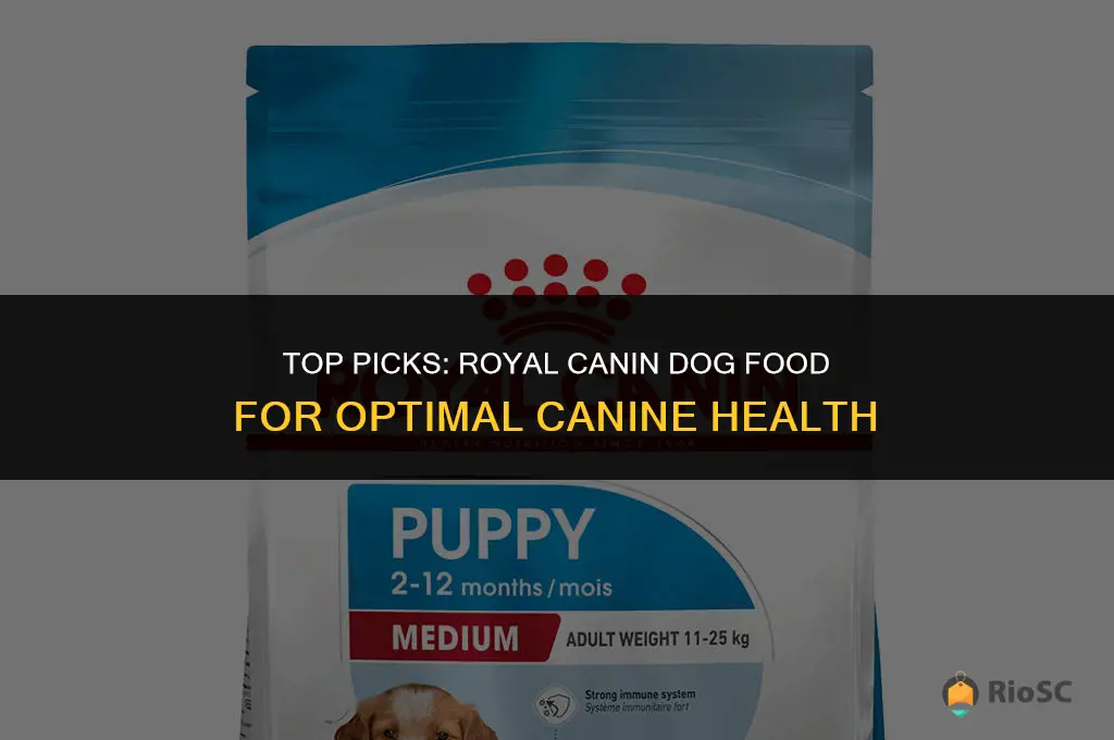 best buy royal canin dog food