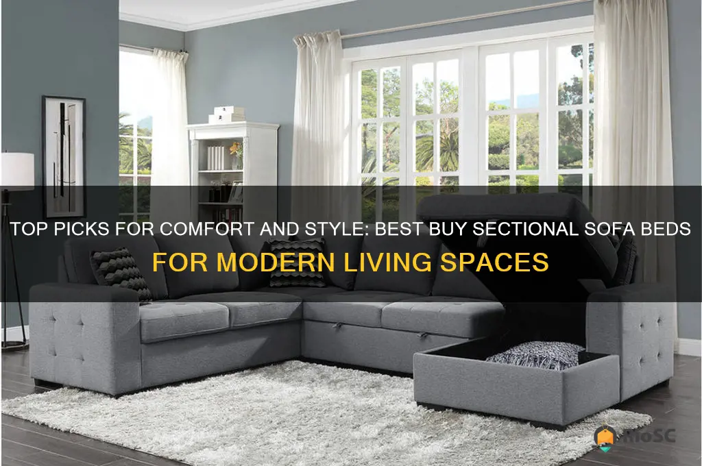 best buy sectional sofa bed