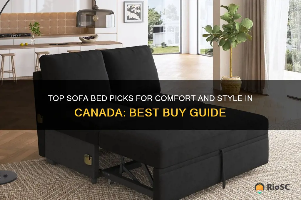 best buy sofa bed canada