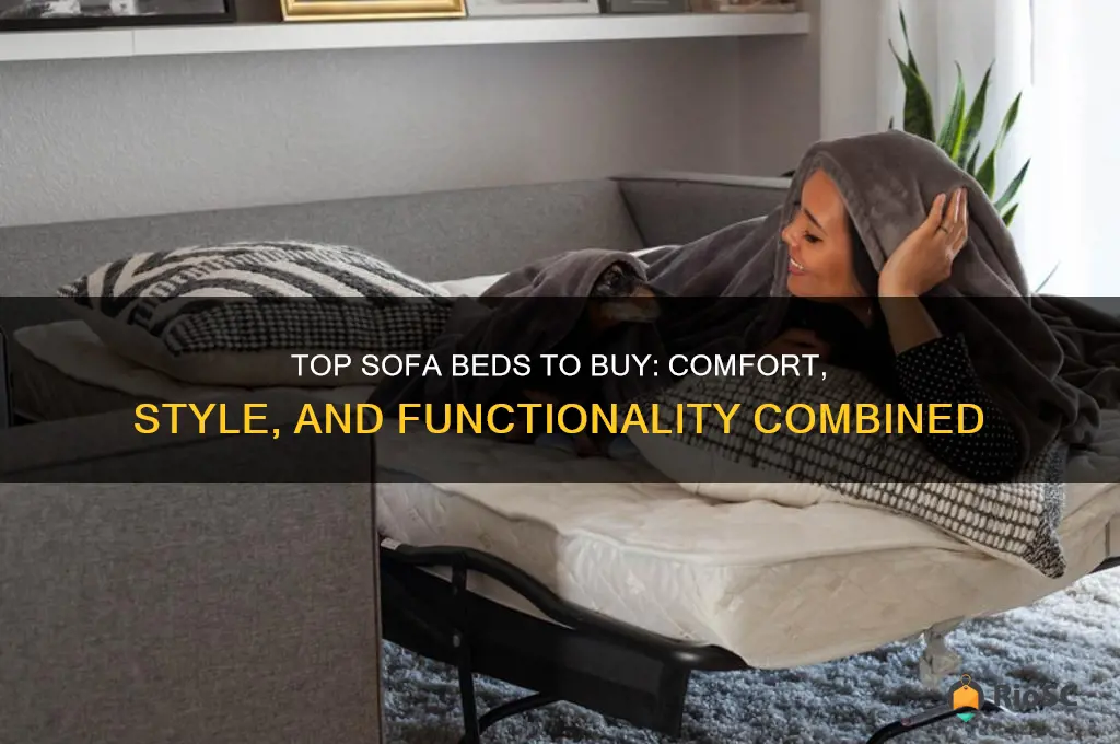 best buy sofa beds