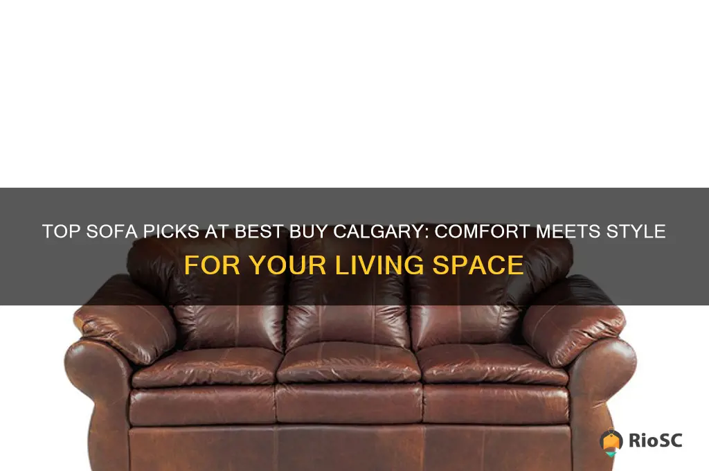 best buy sofa calgary