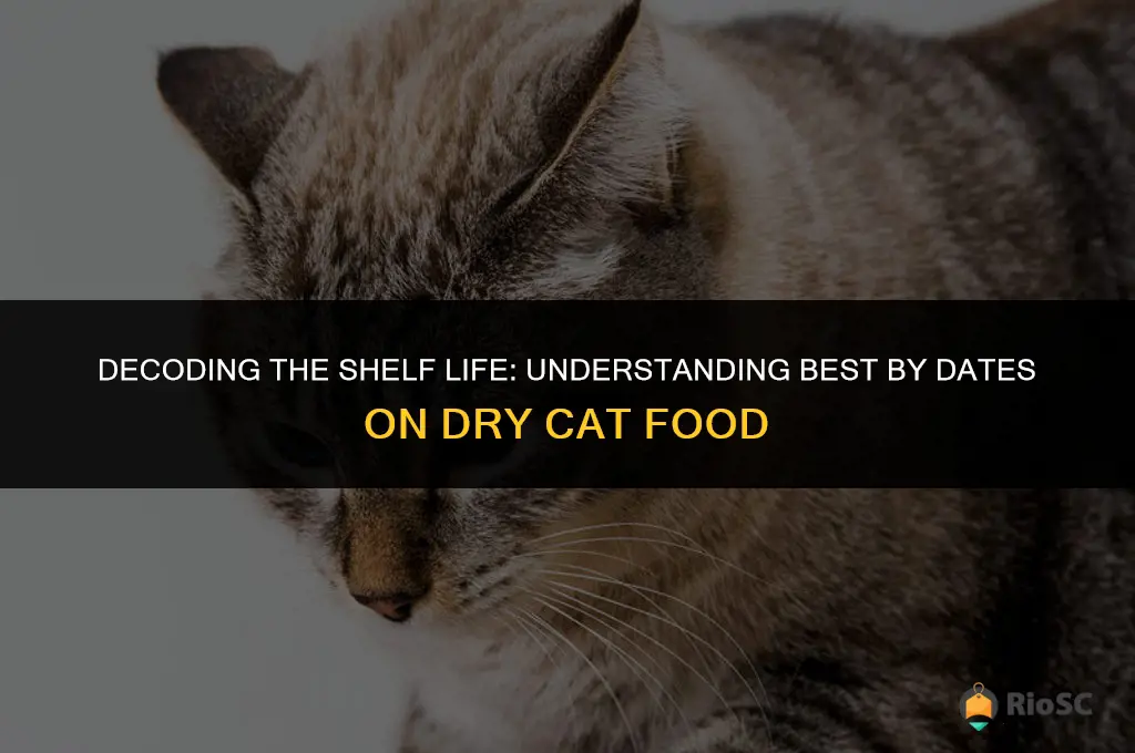 best by dates on dry cat food