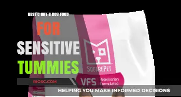 Top Picks for Gentle Nutrition: The Best Canned Dry Dog Foods for Sensitive Stomachs