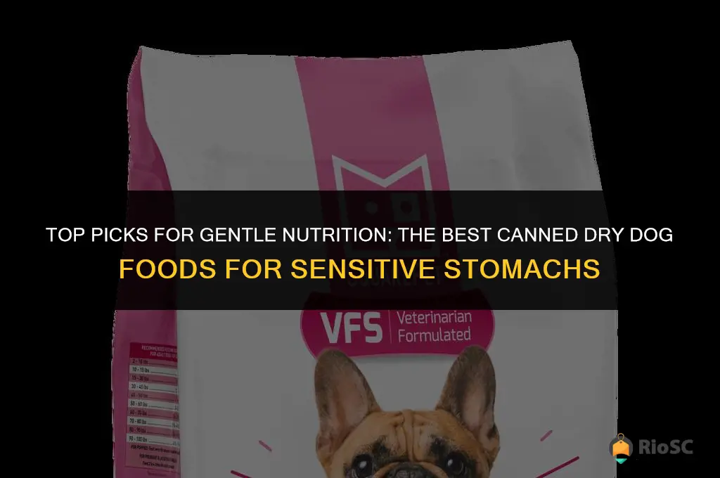 best c dry b dog food for sensitive tummies