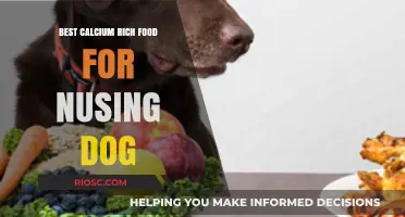 Nutritional Powerhouses: Top Calcium-Rich Foods for Nursing Dogs
