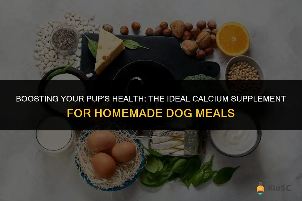 best calcium supplement for homemade dog food