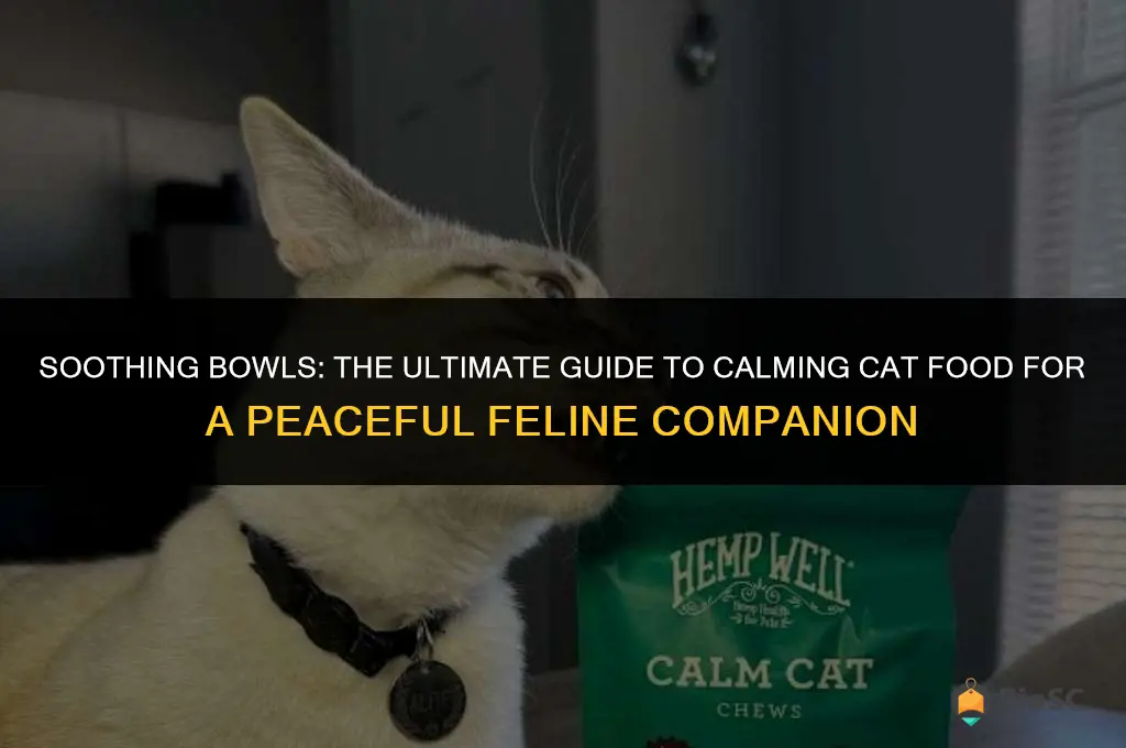 best calming cat food