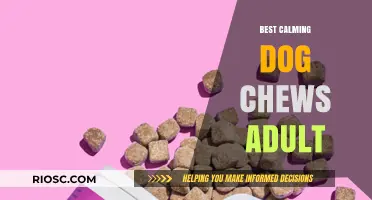 Top Calming Dog Chews for Adult Dogs: Natural Stress Relief Solutions