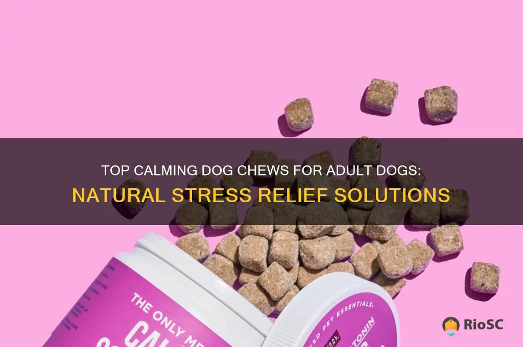 best calming dog chews adult