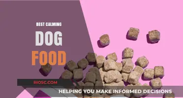 Soothing Bites: The Ultimate Guide to Calming Dog Food for Anxious Pups