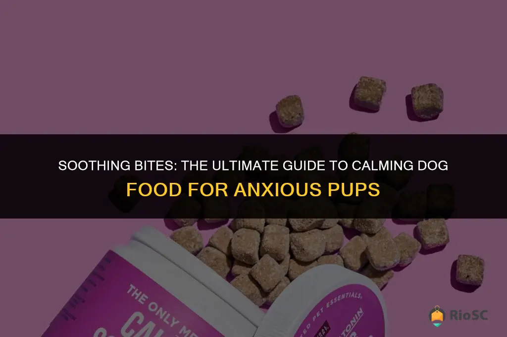 best calming dog food